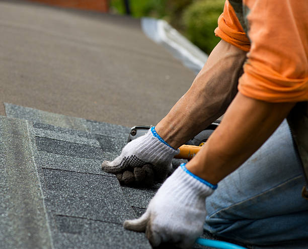 Best Roof Gutter Cleaning  in Myrtle Creek, OR